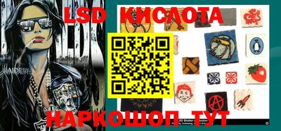 спиды Камышлов