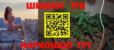 спиды Камышлов