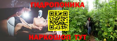 скорость Тара