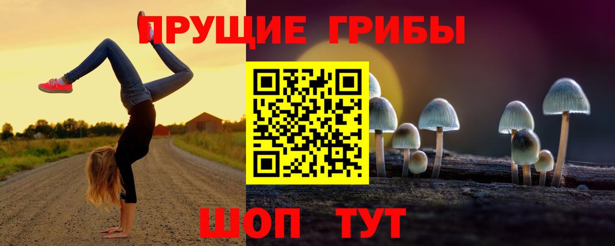 Нефтекамск  Галлюциногенные грибы MAGIC MUSHROOMS  Вход с VPN 